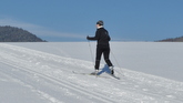Cross country skiing, nordic skiing